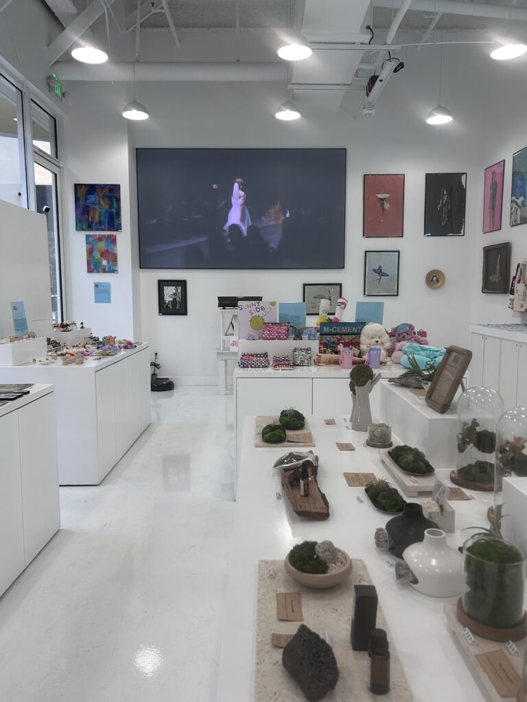 The Gallery Local Artist Project